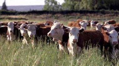 Optimismo a medias: el agro recupera confianza, pero con “prudencia” inversora