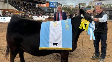 Cabañero nuevejuliense conquistó Palermo con la Gran Campeona Hembra Angus
