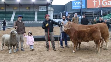 “De Paul” en Palermo: los primeros animales ya están en la Expo Rural