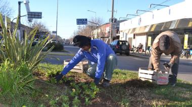 El Municipio continúa con la puesta en valor de los espacios verdes