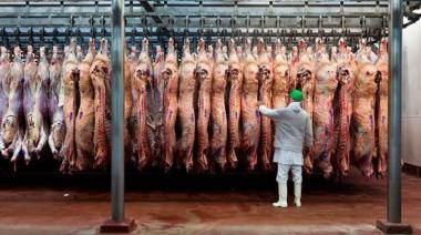 Las exportaciones de carne bovina aumentaron 10% en el primer semestre
