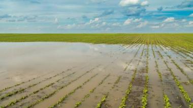 El Niño: lanzan mapa interactivo que predice el impacto agrícola del fenómeno