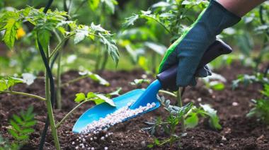 La suba de los fertilizantes generó un sobrecosto importador de US$180 millones