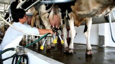 La lechería sigue con buen ritmo productivo, pero preocupa la llegada de El Niño