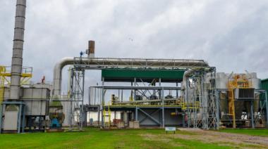 Agricultura autorizó la comercialización de una levadura genéticamente modificada