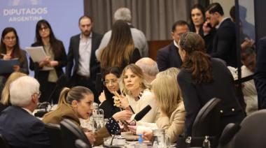 Cortocircuito entre la Casa Rosada y sus diputados por la ley de discapacidad