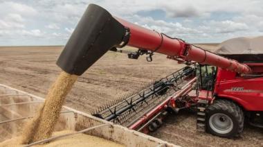 El agro proyecta una cosecha récord y exportaciones por U$S 41.500 millones