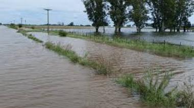 Inundaciones: declaran la emergencia agropecuaria en Nueve de Julio