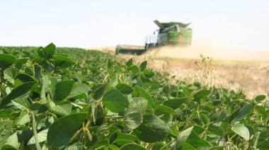 Estiman que El Niño podría generar U$S 4.000 millones adicionales a la cosecha