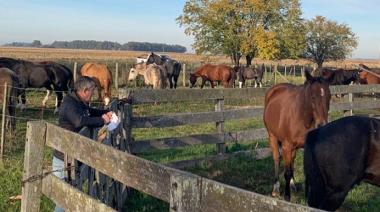 Encefalomielitis equina: cómo prevenir la enfermedad ante la llegada del calor
