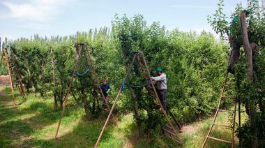 Alerta de UATRE: peligran 120.000 puestos de trabajos rurales