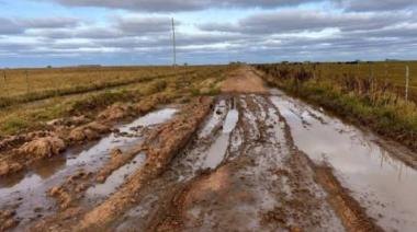 Robos de ganado y caminos en mal estado: LLA presiona a Kicillof