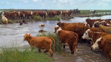 El Niño: impulsan red federal para asistir a productores afectados por inundaciones