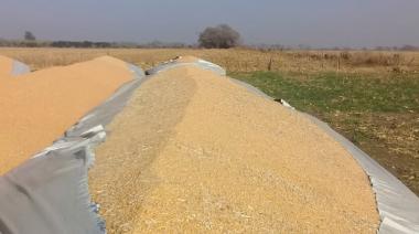 Vandalismo rural: Diputados dio media sanción la ley que agrava las penas