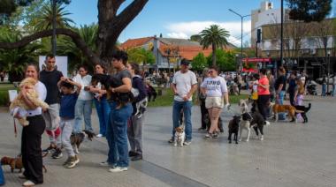 Gran participación en la jornada de cuidado responsable de las mascotas
