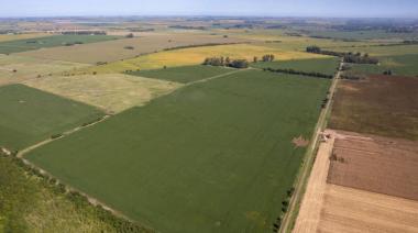 Impulsan ley para limitar la venta de tierras a extranjeros en Buenos Aires