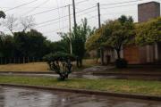 Nueve de Julio en alerta amarilla por fuertes vientos