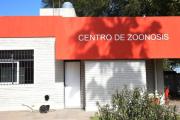 Confirman caso positivo de triquinosis en un puma cazado en Lértora