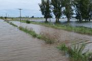Nueve de Julio y Casares entre los distritos más golpeados por las inundaciones
