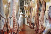 ¿Qué exige Chile para volver a importar carne argentina de la Patagonia?