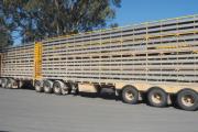 El SENASA actualizó las habilitaciones de transportes de animales vivos