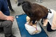 RCP: Trenque Lauquen será sede del Primer Congreso Nacional para instructores
