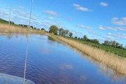 Prorrogaron la emergencia agropecuaria en 4 municipios de la provincia de Buenos Aires