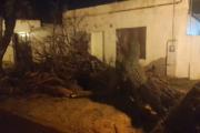 Con fuertes ráfagas, la tormenta generó problemas en Trenque Lauquen