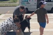 Realizan jornada para promover el cuidado responsable de mascotas