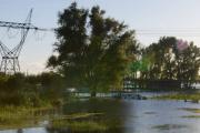 Emergencia agropecuaria: vence el plazo para presentar la declaración jurada