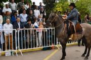 Fiesta Nacional del Caballo: balance positivo a pesar de la lluvia