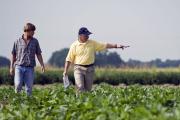 Sigue en descenso la confianza de los productores, que frenan las inversiones