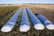 Las silobolsas argentinas ya se exportan a más de 50 países