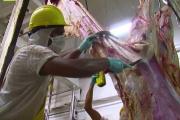 Por la crisis cárnica, cobrarán el servicio de faena en la provincia