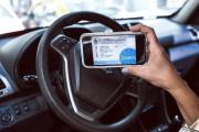 El Gobierno nacional lanzó una plataforma para patentar autos online