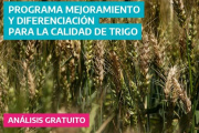 La Provincia de Buenos Aires avanza con el programa para destacar y evaluar la calidad del trigo