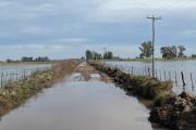 Nación declaró la emergencia agropecuaria en Nueve de Julio y Casares