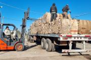 El Municipio de Carlos Casares envió a reciclar 15.600 kilos de material seco
