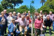 Nuevejulienses plantan un jacarandá para celebrar 55 años de su egreso escolar