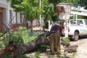 Tras el temporal, siguen las tareas de asistencia y limpieza en Nueve de Julio