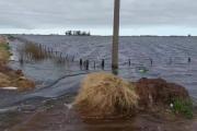 Emergencia Agropecuaria: Nación giró los fondos a Nueve de Julio y Casares