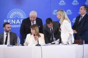 Senado: bloques aliados del Gobierno quieren sancionar el Presupuesto sin cambios