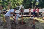 Espacios Verdes avanza con los trabajos de forestación en Trenque Lauquen