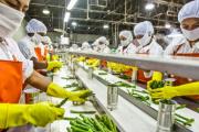 Alimenticias: crecen las importaciones y la producción profundiza su caída
