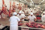 Una cámara de la industria cárnica afirma que la faena bonaerense cayó 13%