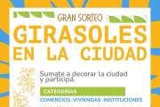 Propuesta casarense: "Girasoles en la Ciudad"