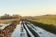El bloque radical denuncia falta de mantenimiento de los caminos rurales