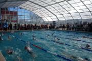 Se viene el Primer Torneo Regional de Natación en la pileta municipal