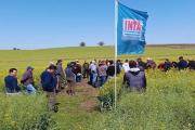 Avanza la “motosierra” en el INTA: cierran 14 agencias de extensión rural