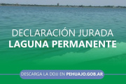 El municipio informó cómo realizar la DDJJ por afectación de lagunas permanentes
